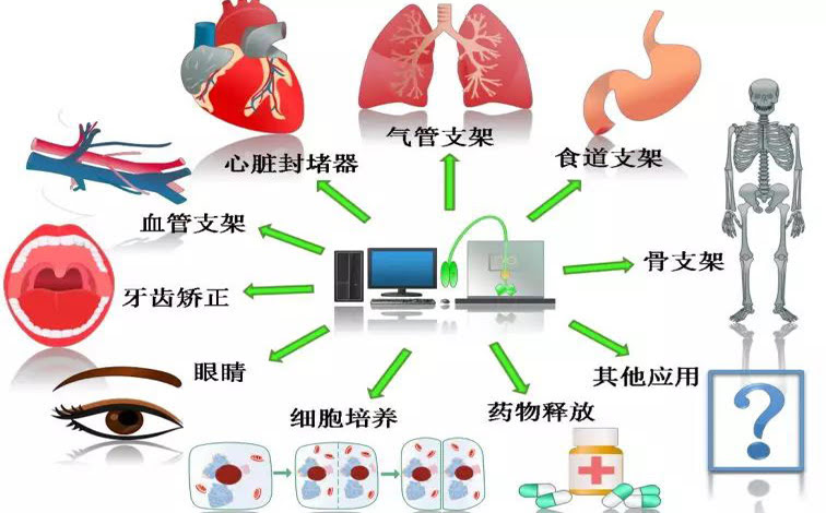 4D 打印形狀記憶聚合物在生物醫(yī)療領(lǐng)域的研究進(jìn)展